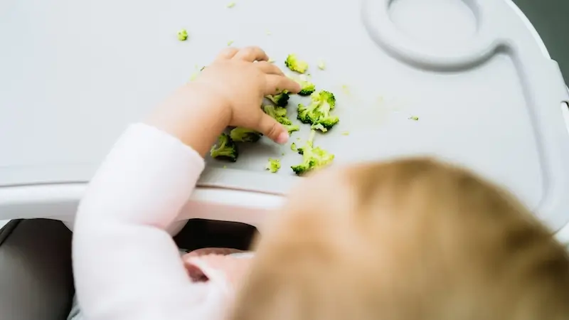 Nutri & Beyond BLW vs Spoon Feeding Quiz PDF Guide