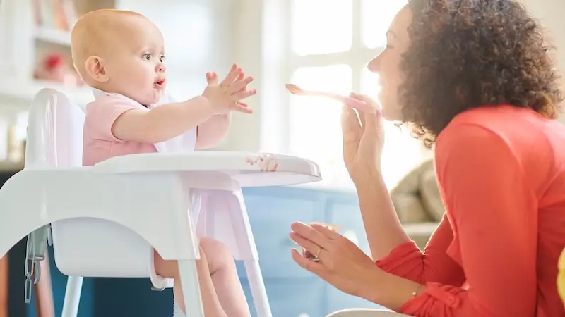 Nutri & Beyond Division of Responsibility PDF Guide